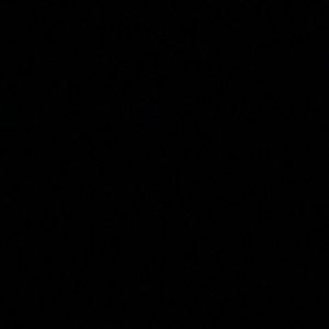 Meet your Posher, Bella